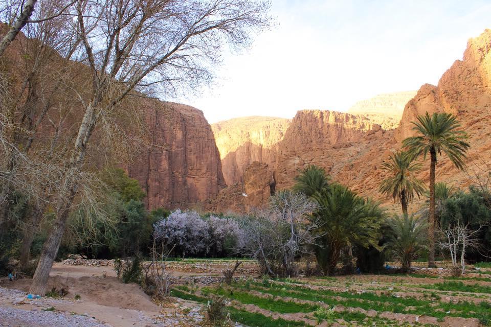 Dar Ayour Todra Gorges Aït Baha Kültér fotó